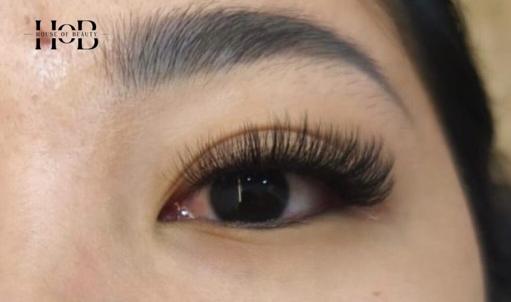 jasa kecantikan medan menawan